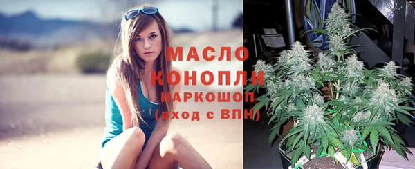 сатива Наволоки