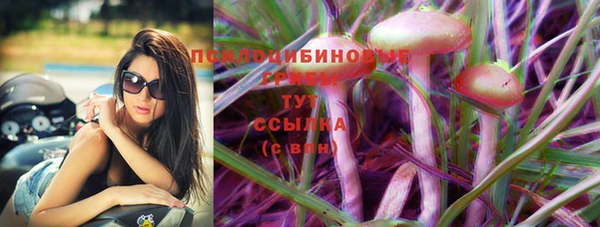 Альфа ПВП Михайловка