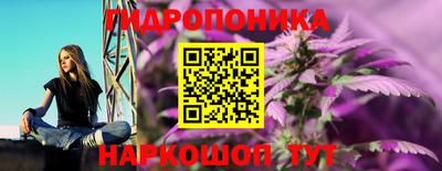 spice Абинск