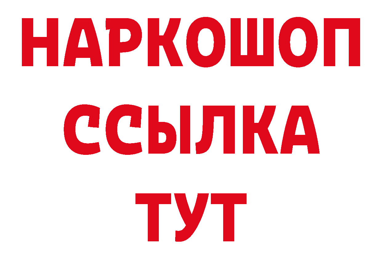 ГАШ Изолятор рабочий сайт площадка МЕГА Петропавловск-Камчатский