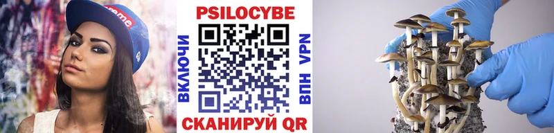 Псилоцибиновые грибы Psilocybe  KRAKEN сайт  Петропавловск-Камчатский 