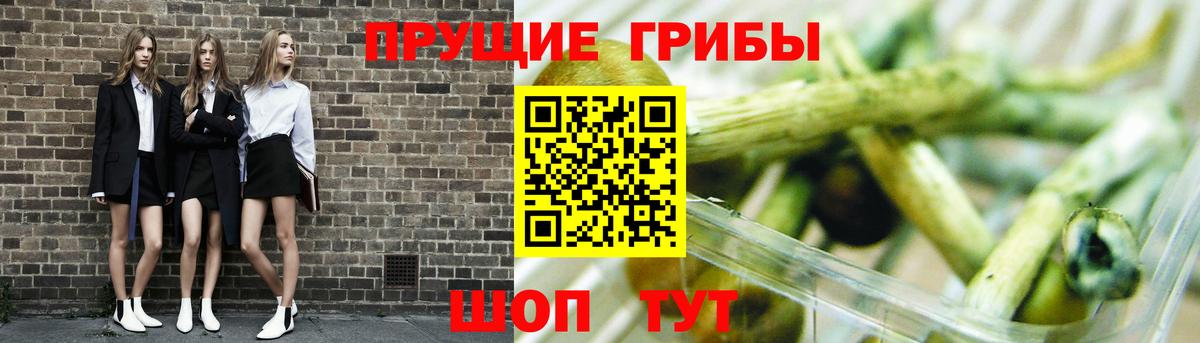 Галлюциногенные грибы мухоморы Петропавловск-Камчатский