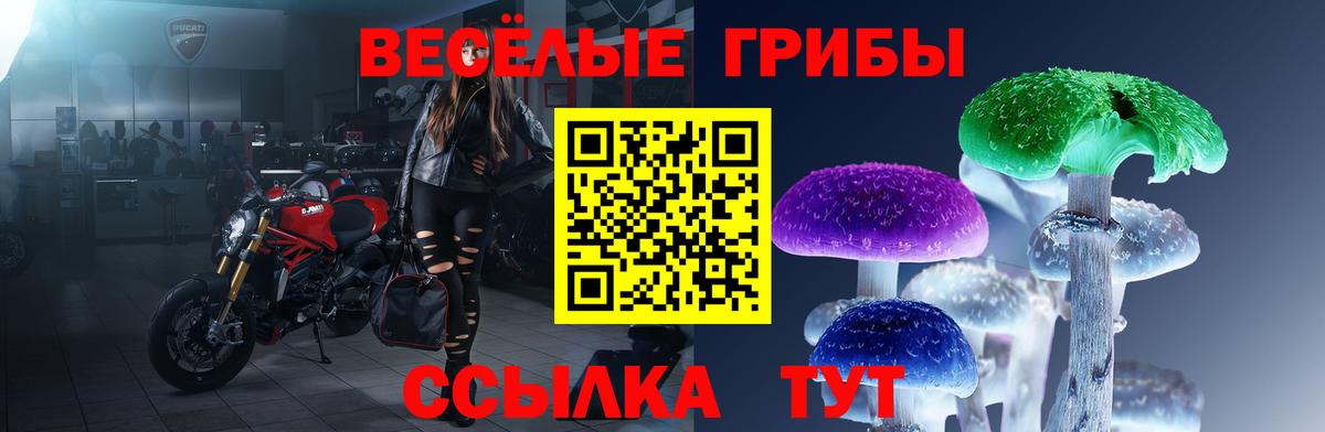 Петропавловск-Камчатский  Галлюциногенные грибы мицелий  купить  цена  Вход с VPN 